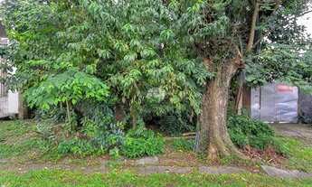 Imagem 3: Vendas Terreno Curitiba PR