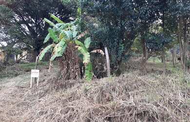 Imagem 3: TE13 Terreno para venda possui 364 metros quadrados em Zona Rural - Igrejinha - RS