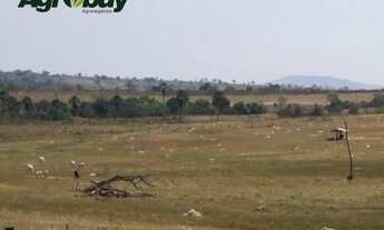 Imagem 7: Fazenda Localizada no Município de Iporá go