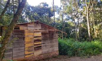 Imagem 3: Chácara à venda em Taquara com uma simples casa e poço!!
