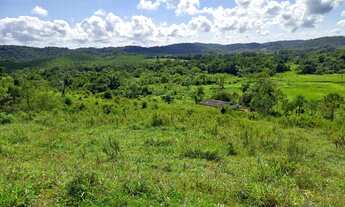 Imagem: Sítio 3 alqueires Pasto ( Willian Ricardo