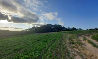 Imagem 2: Lote/Terreno para venda possui 500 metros quadrados em Centro - Cotia - SP