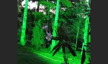 Imagem 5: Sítio em Venda Nova