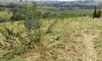 Imagem 5: Sítio para venda em Conchas possui 121.000 m2, com casa e tanque