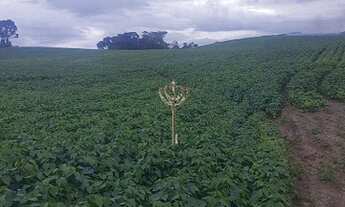 Imagem 7: Alfredo Wagner - Sítio - interior