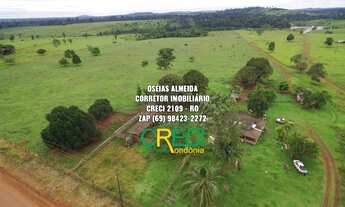 Imagem: 20 Alqueires Escriturada Terra roxa Machadinho-RO