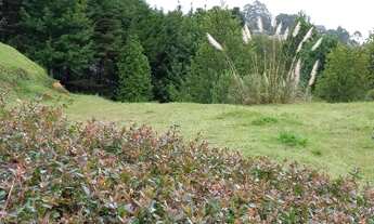 Imagem 5: Terreno para Venda em Campos do Jordão, Jardim das Perolas