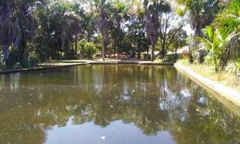 Imagem: Sitio de 20 hectares, rico em água ótima
