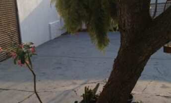 Imagem 2: Vendo casa 4/4 e suíte bairro morada do bosque em cacoal RO