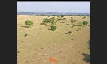 Imagem 5: Fazenda 67 Alqueires Plana 30 a 40 Alqueires de Soja. Regiao jaragua