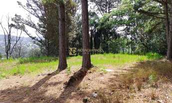 Imagem 4: Terreno, 988 m², à venda por R$ 390.000 Vale das Colinas - Gramado/RS