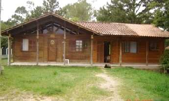 Imagem: Porto Alegre - Sítio - Restinga