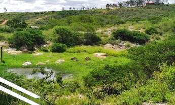Imagem: Propriedade com 6 hectares em área central