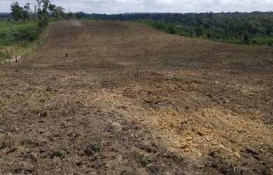 Imagem 5: TERRA SITIO FAZENDA