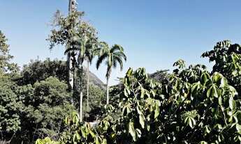 Imagem 4: RIO DE JANEIRO - Apartamento Padrão - Jardim Botânico