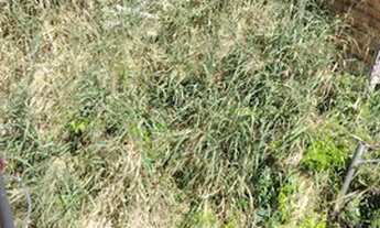 Imagem 2: Terreno Residencial ,Amparo do Tororo