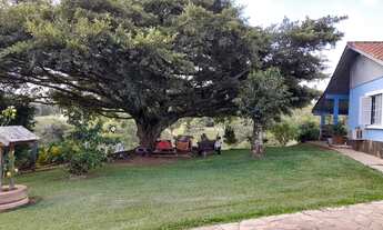 Imagem 6: Fazenda/Sítio/Chácara para venda possui 200 metros quadrados com 3 quartos