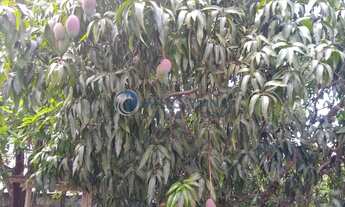 Imagem 2: CASA RESIDENCIAL em São Lourenço - MG, carioca