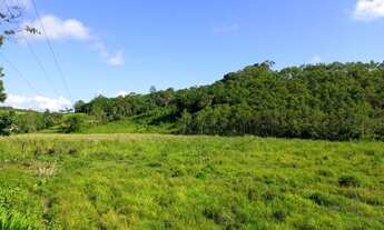 Imagem 5: Sítio 3 alqueires Pasto ( Willian Ricardo