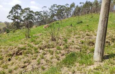 Imagem 5: Terreno à venda, 20038 m² por R$ 180.000,00 - Botujuru (Botujuru) - Campo Limpo Paulista/S