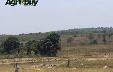 Imagem 5: Fazenda Localizada no Município de Iporá go