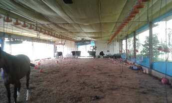 Imagem 3: Sítio/Granja Morungaba/Tuiuti/SP/BR