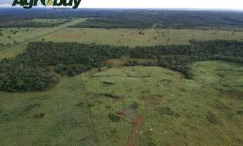 Imagem 3: Fazenda em Gurupi TO