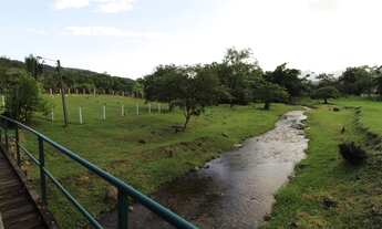 Imagem 5: SÍTIO no VILA NOVA com 3 quartos para VENDA, 75000 m²