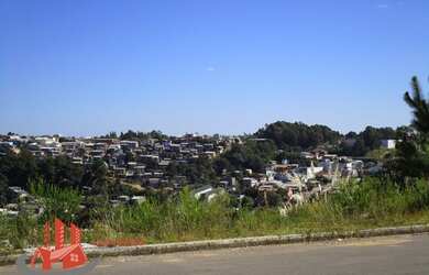 Imagem 6: CAXIAS DO SUL - Terreno Padrão - Planalto