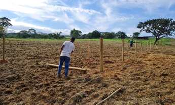 Imagem 4: Chacara samambaia