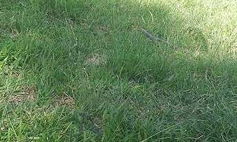 Imagem 7: Sítio Estância Hidromineral de Amparo/SP/BR (Hel. Fon.