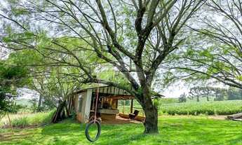 Imagem 6: Vendas Chácara Pato Branco PR