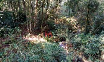 Imagem 5: Área à venda, 92000 m² por R$ 1.300.000,00 - Cachoeira - São José dos Pinhais/PR