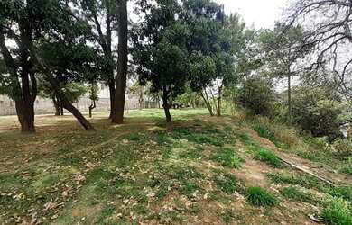 Imagem 7: Grande oportunidade, lote de 38.000m² apenas 3.800.000