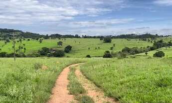 Imagem: Fazenda em trindade Goiás com 53 alqueires