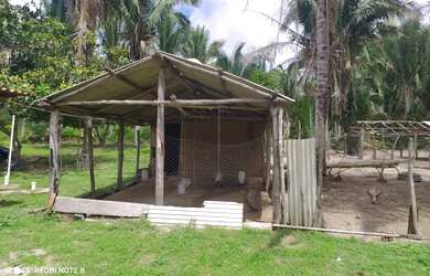 Imagem 6: Fazenda/Sítio/Chácara para venda possui 60000 metros quadrados com 3 quartos