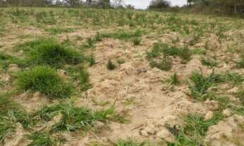 Imagem 5: Terreno 15.5 Hectares em Passa Tempo MG