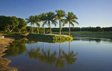 Imagem 2: Sou um lote privilegiado no Condomínio Fazenda Real, com 750m² e custo R$ 67 mil!
