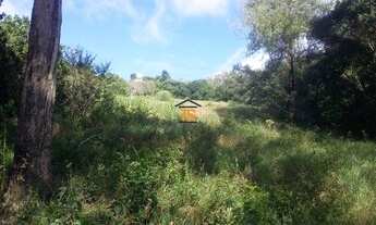 Imagem 4: Porto Alegre - Terreno Padrão - Glória