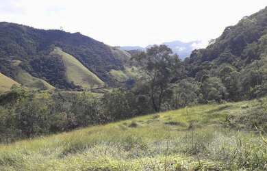 Imagem 3: Lote/Terreno para venda possui 20000 metros quadrados