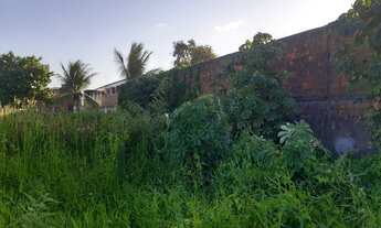 Imagem 5: Excelente Terreno Na Rua Do Loreto