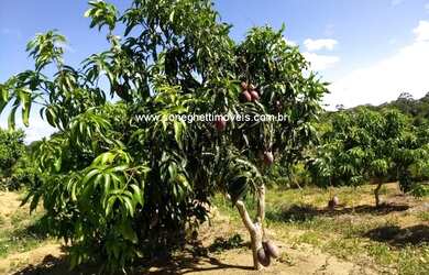 Imagem 5: Área no Xuri com 43.000 (quarenta e três mil metros) a 100 metros da 388 e a 25km do centr