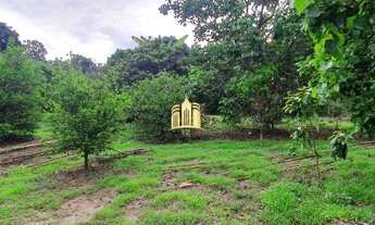 Imagem 7: Sitio em Esmeraldas