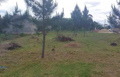 Imagem 3: Passo de Torres - Terreno Padrão - Novo Passo