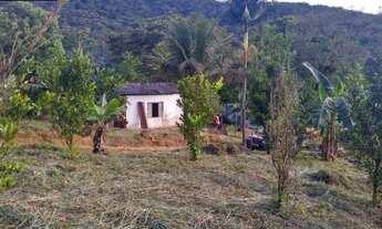 Imagem 4: Sítio 8 hectares com Produção de Banana, Mexirica e Limão (Willian Ricardo