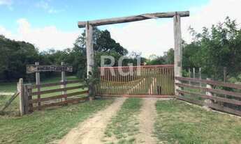 Imagem 4: Porto Alegre - Sítio - Lami