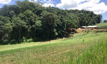 Imagem 7: Fazenda/Sítio/Chácara para venda com 36000 metros quadrados em Campo Novo - Campo Magro