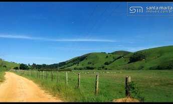 Imagem 6: FAZENDA LEITE/CORTE - MELHOR VÁRZEA DA REGIÃO - SILVEIRAS - SP