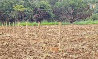 Imagem 3: Chacara samambaia