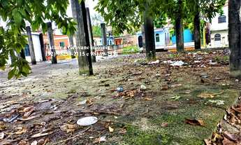 Imagem 2: Terreno/lote de esquina/Av. Brasil com Rua Dom Pedro/252,50m²/Ponto comercial